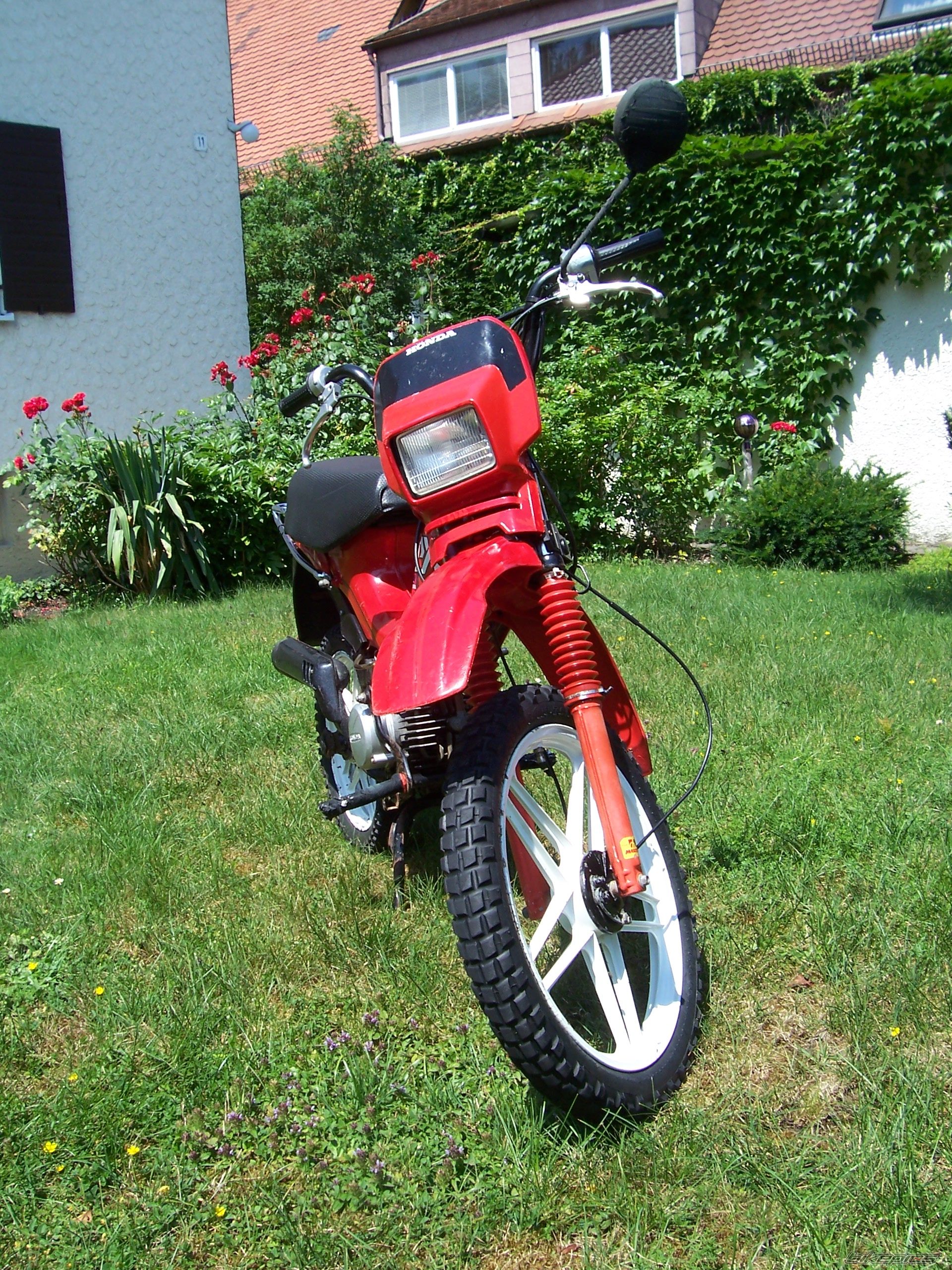 Photo 1342999