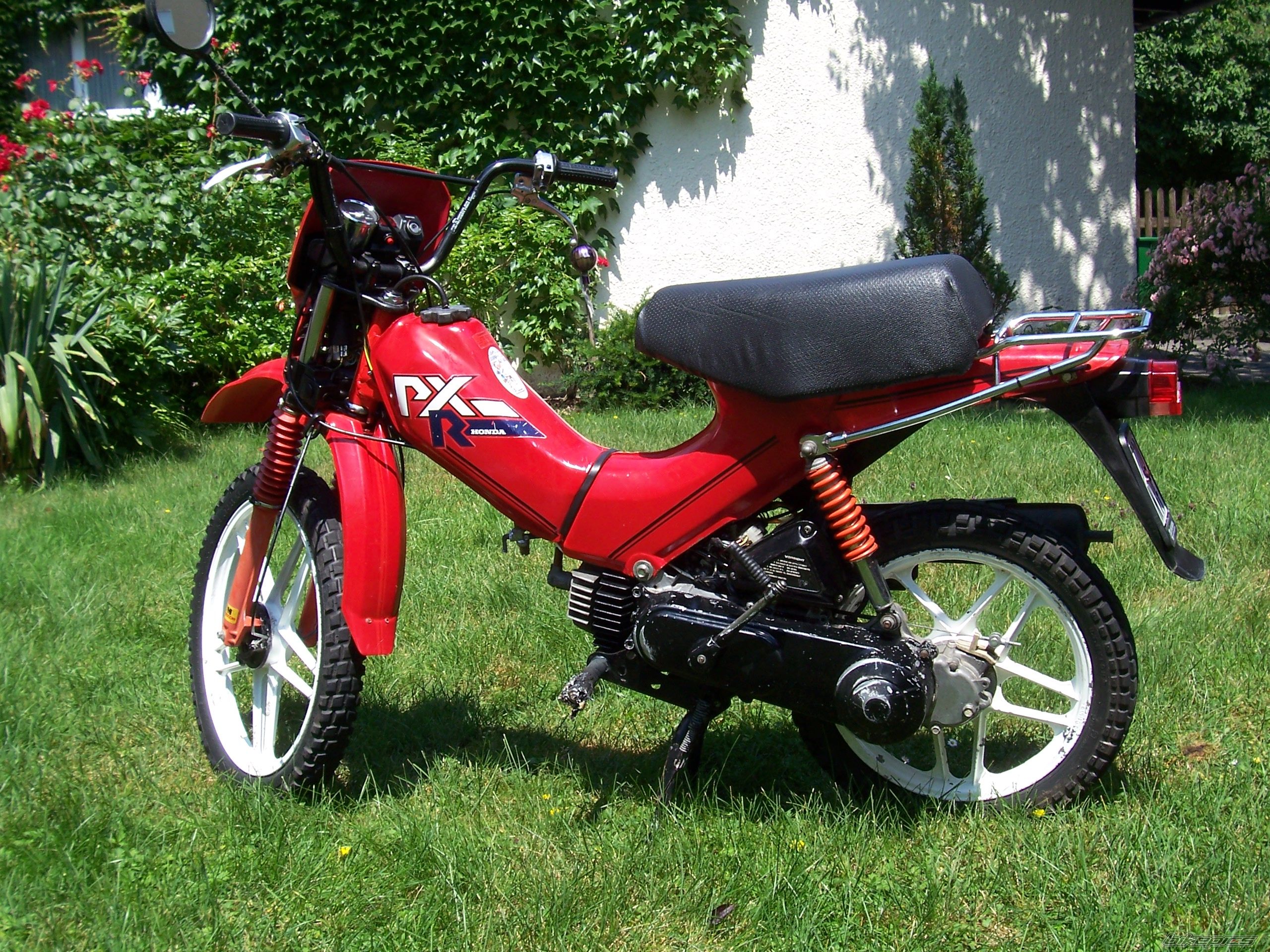 Photo 1343017