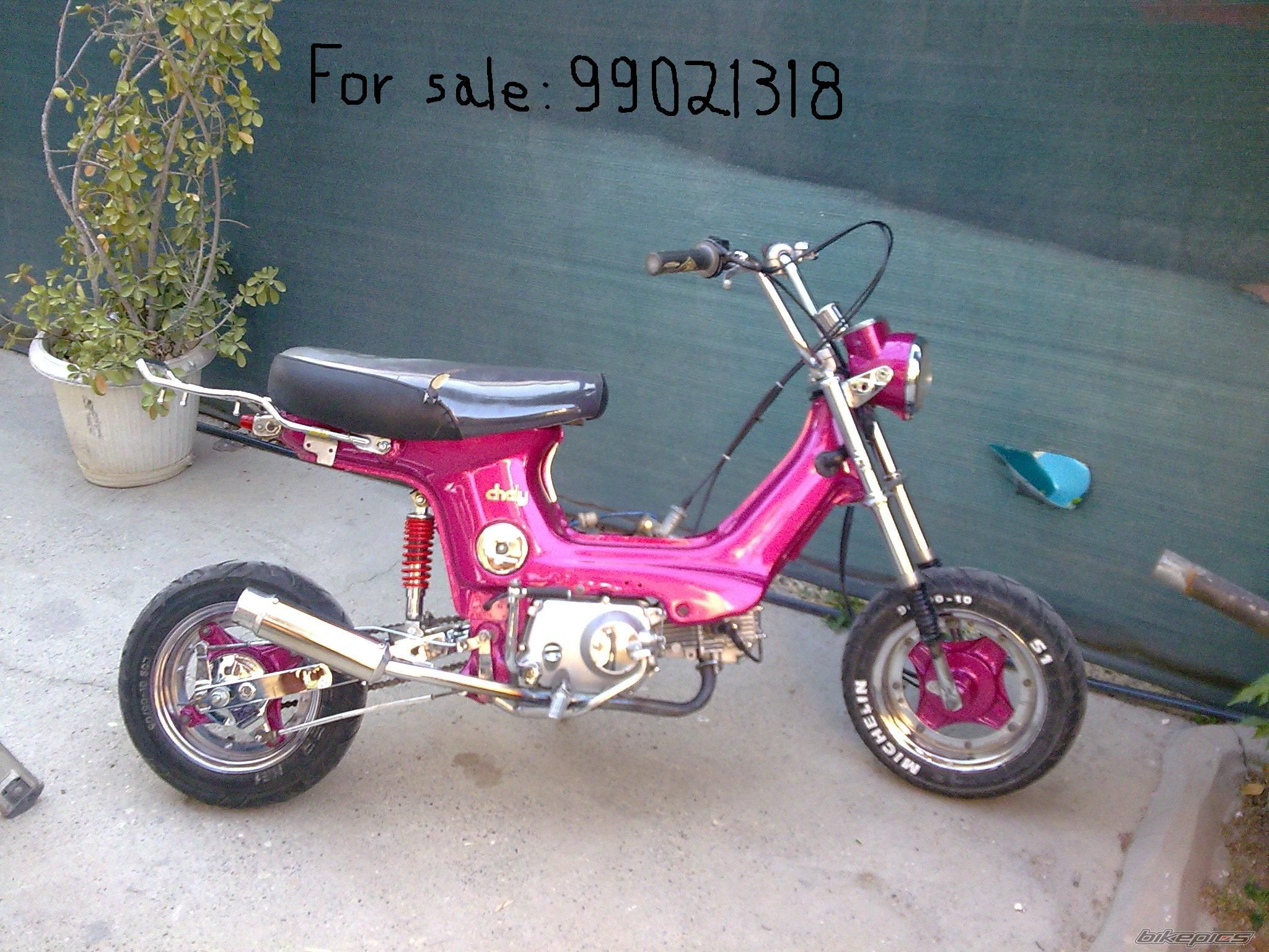 Photo 1343099