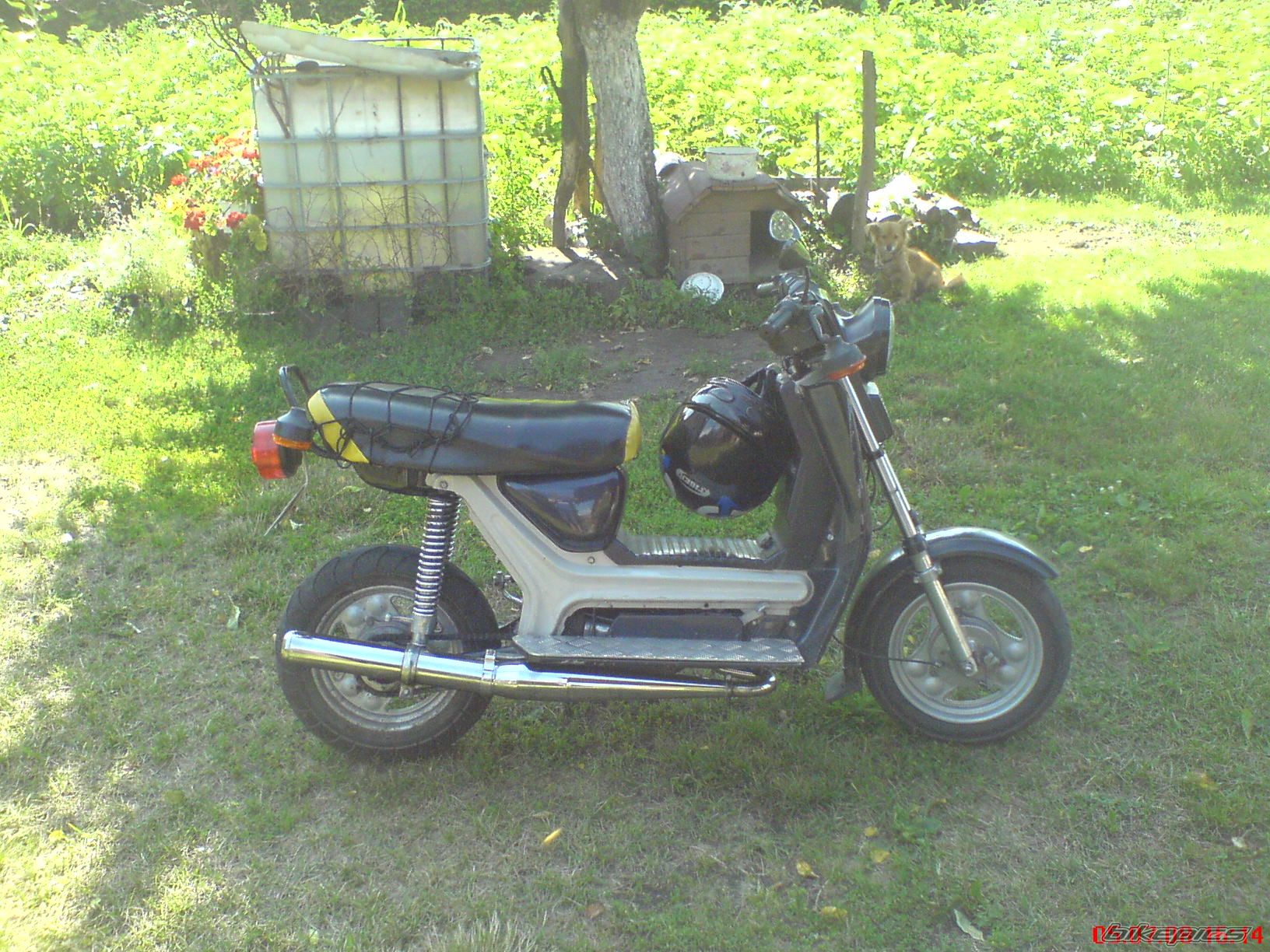 Photo 1343148