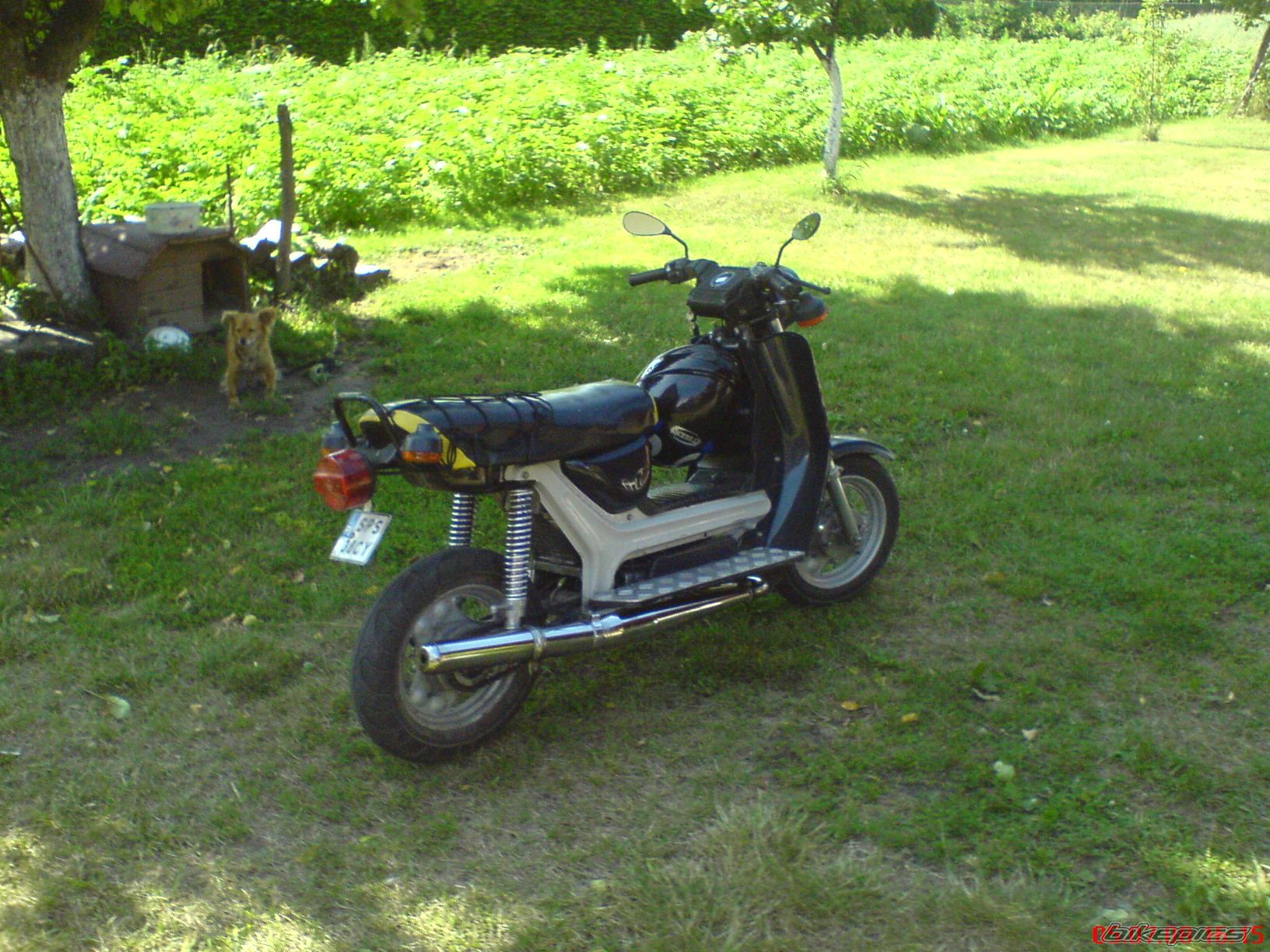 Photo 1343153
