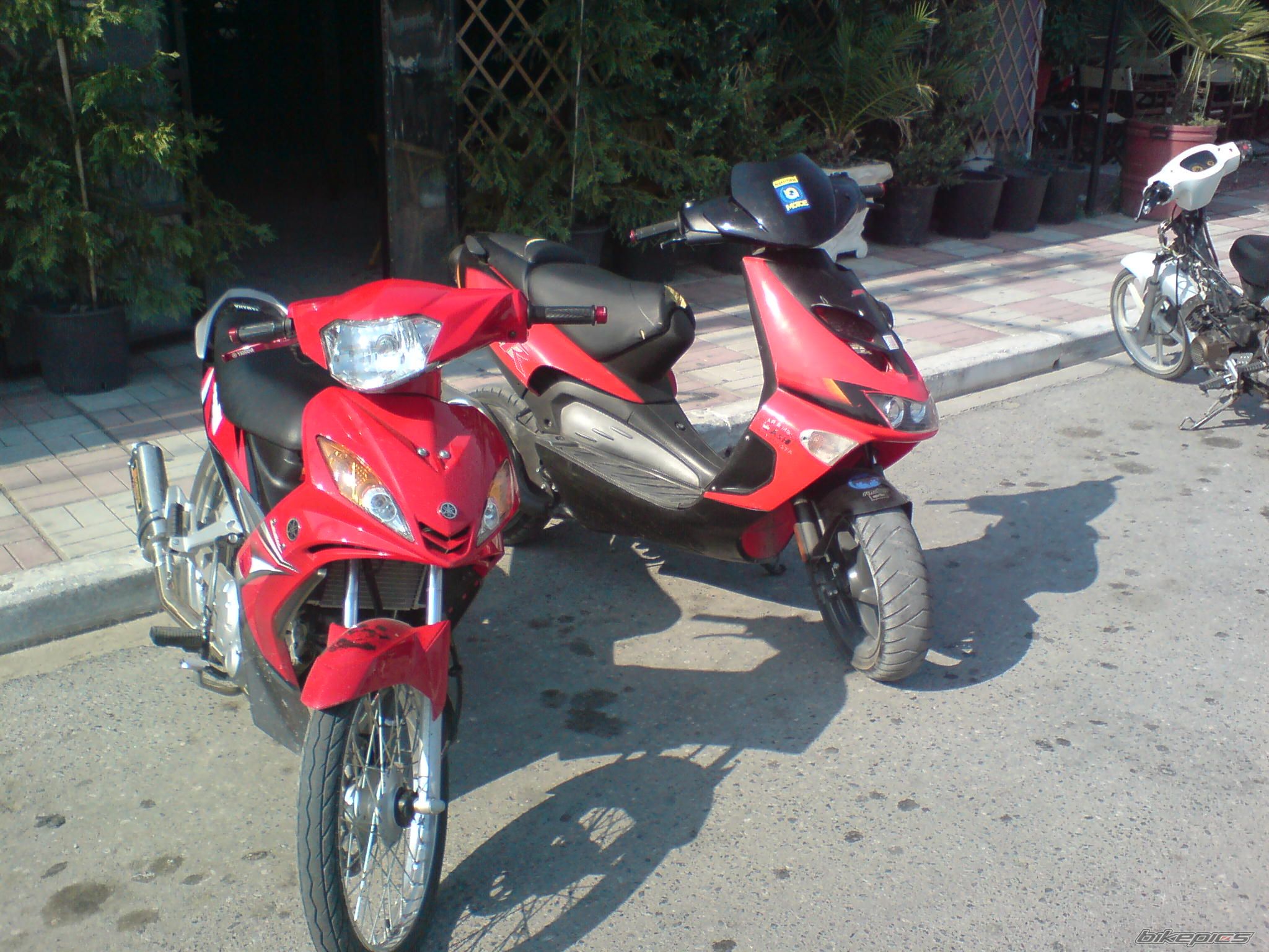 Photo 1343155