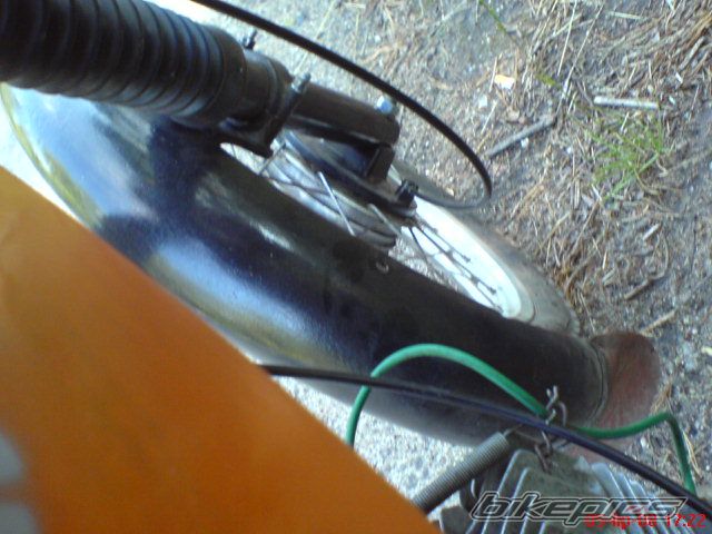 Photo 1343272