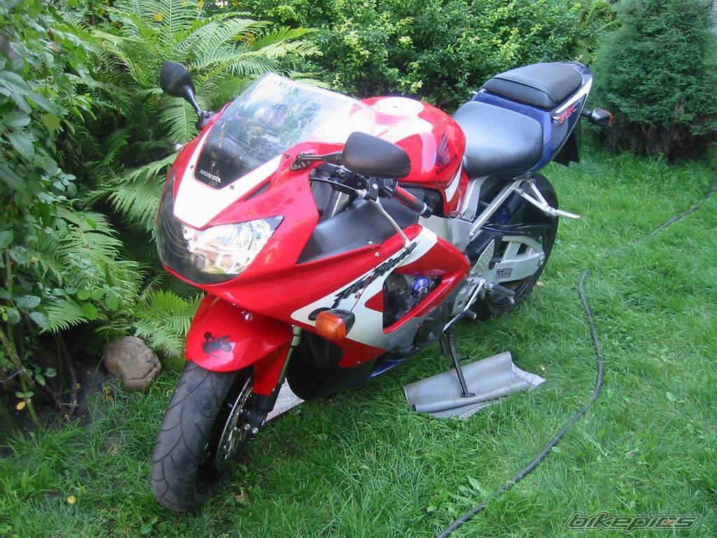 Photo 134329