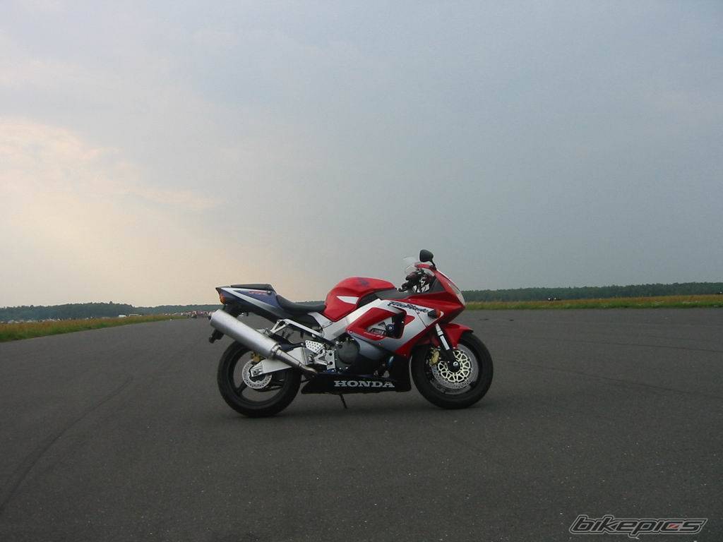 Photo 134333