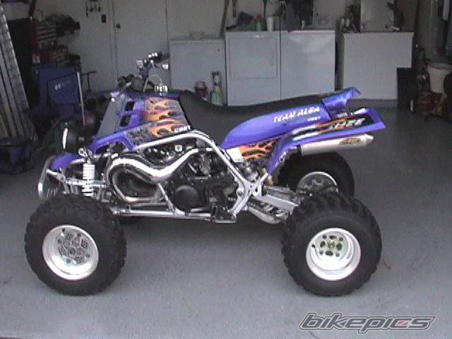 Photo 134369