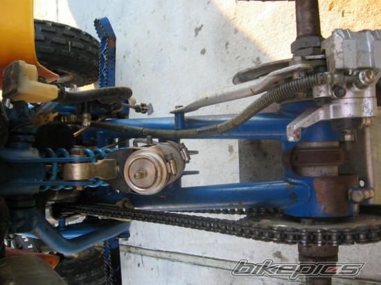 Photo 1343723