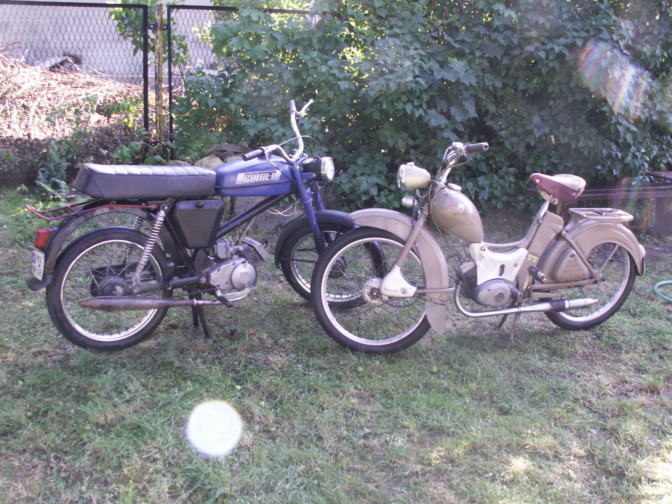 Photo 1343762