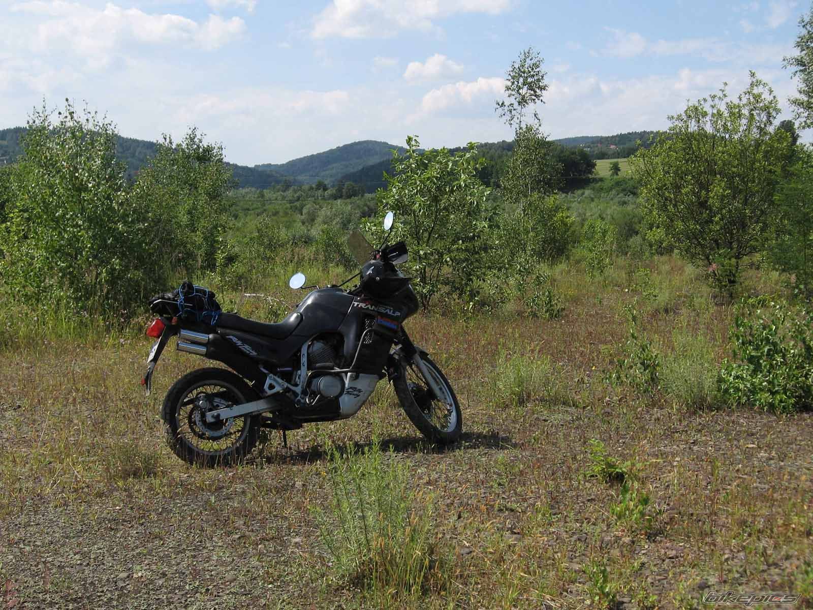 Photo 1343778