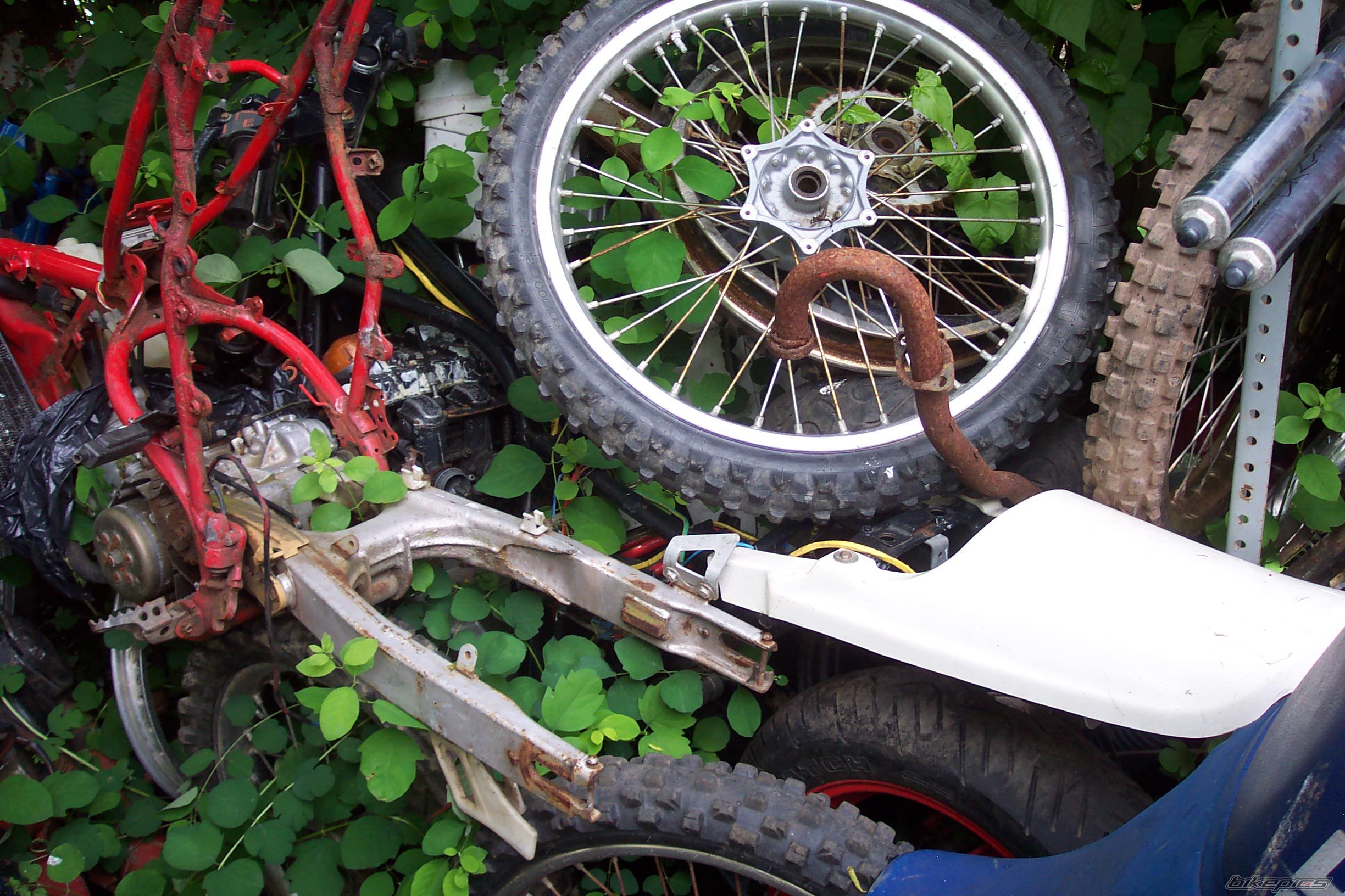 Bike Photo 1343825