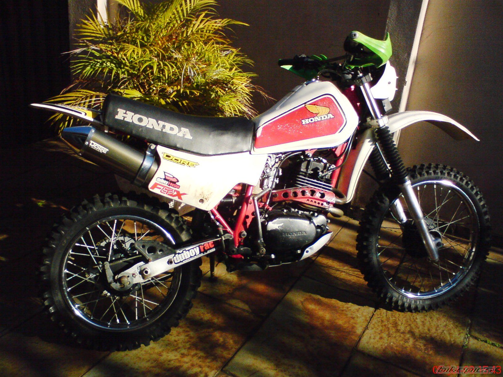 Photo 1343899