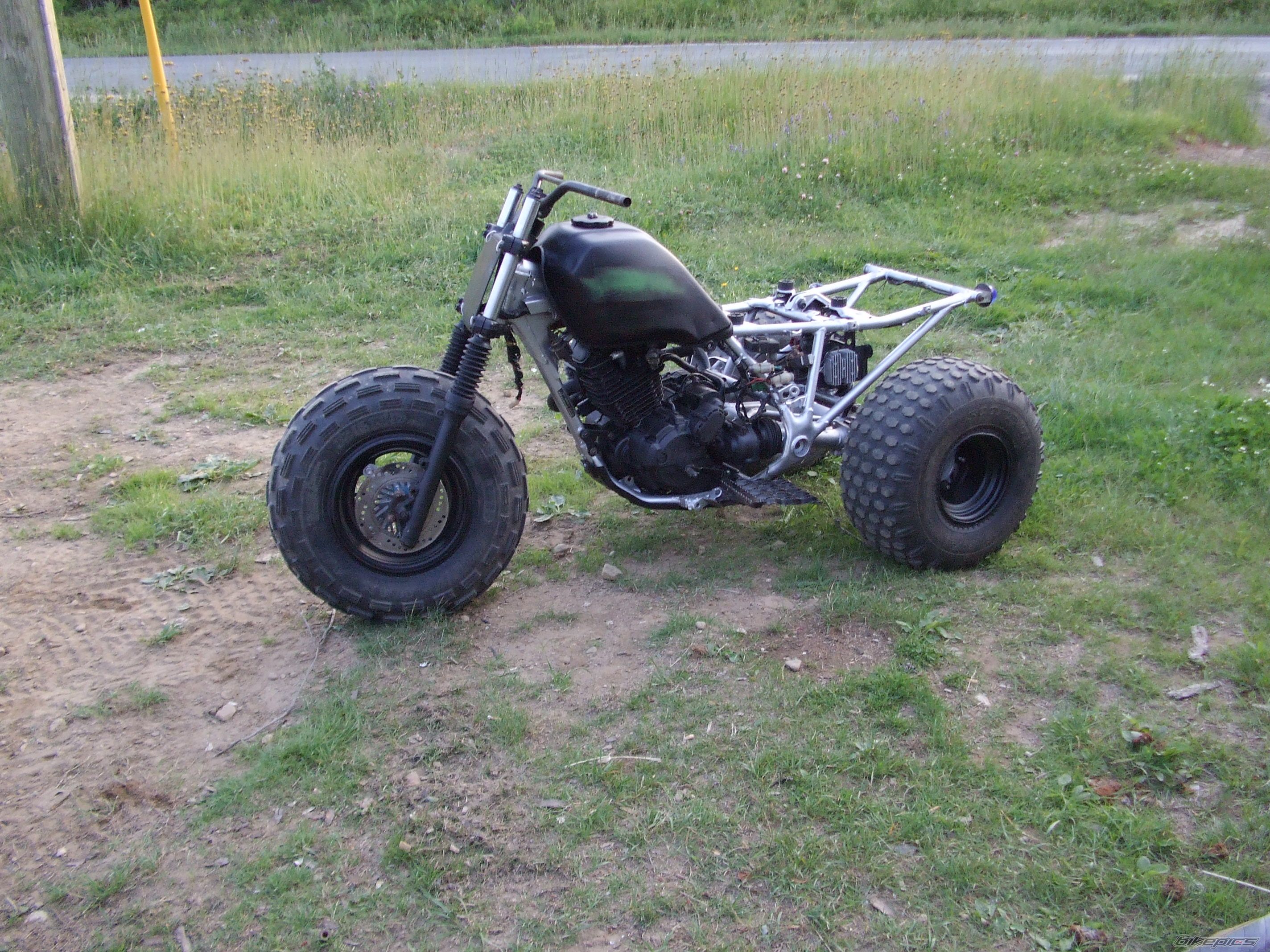 Photo 1343918