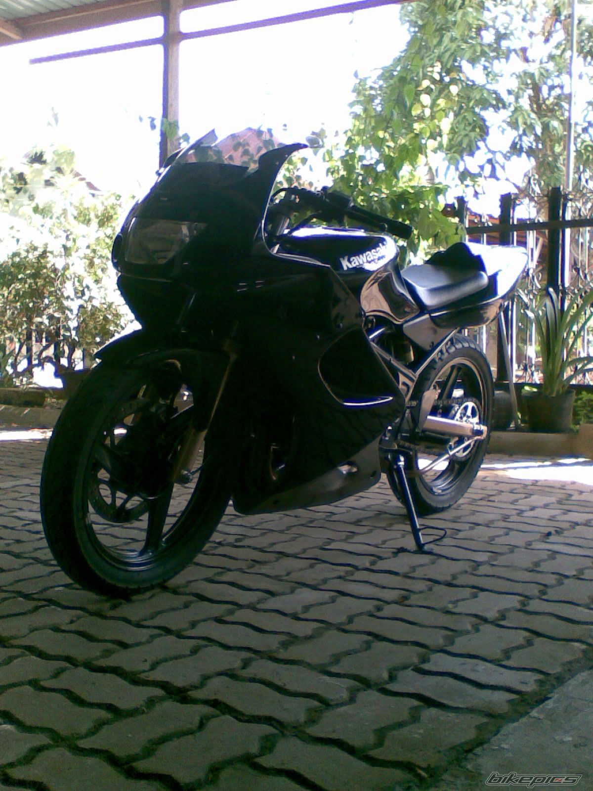 Photo 1343967