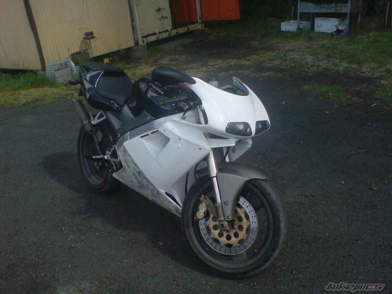 Photo 1344077