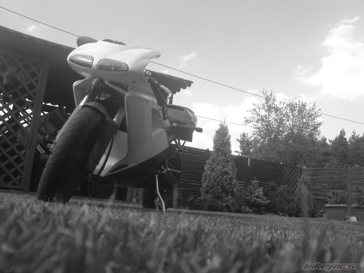 Photo 1344083