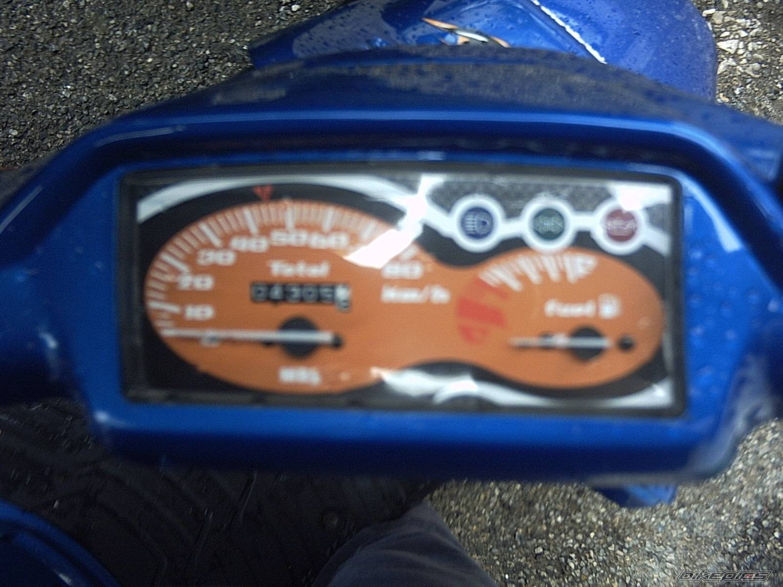Photo 134427
