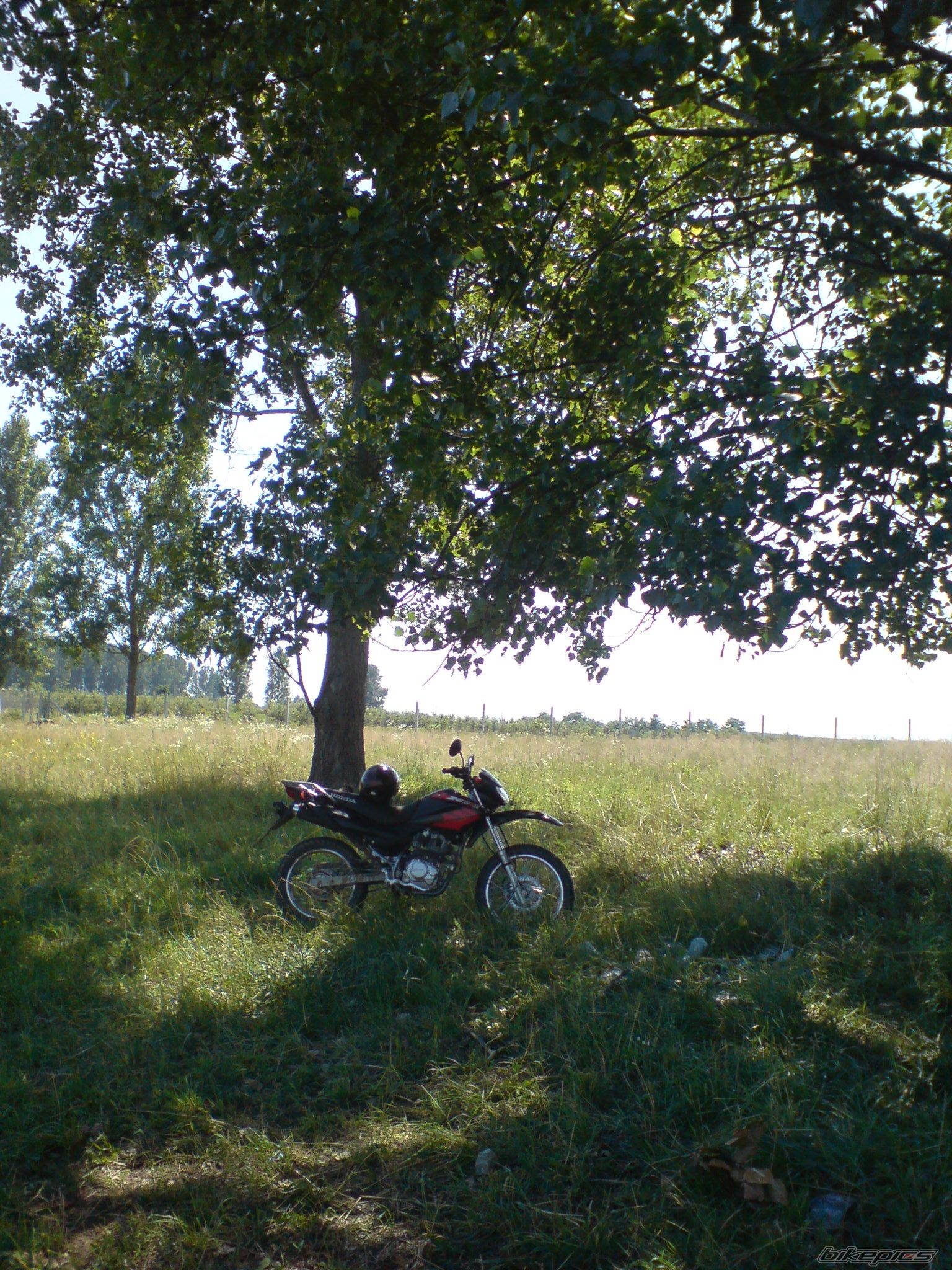 Photo 1344360
