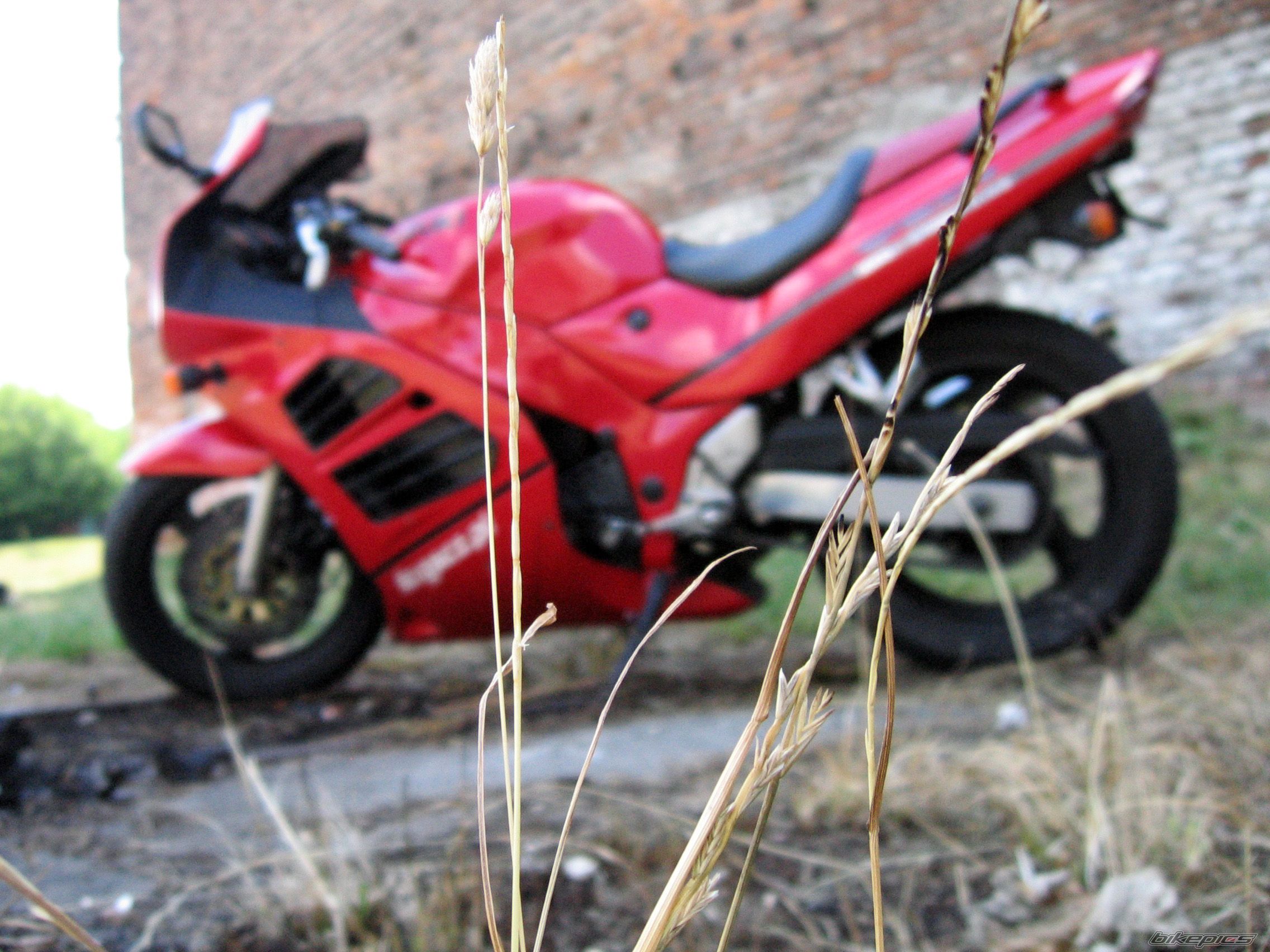 Bike Photo 1344417