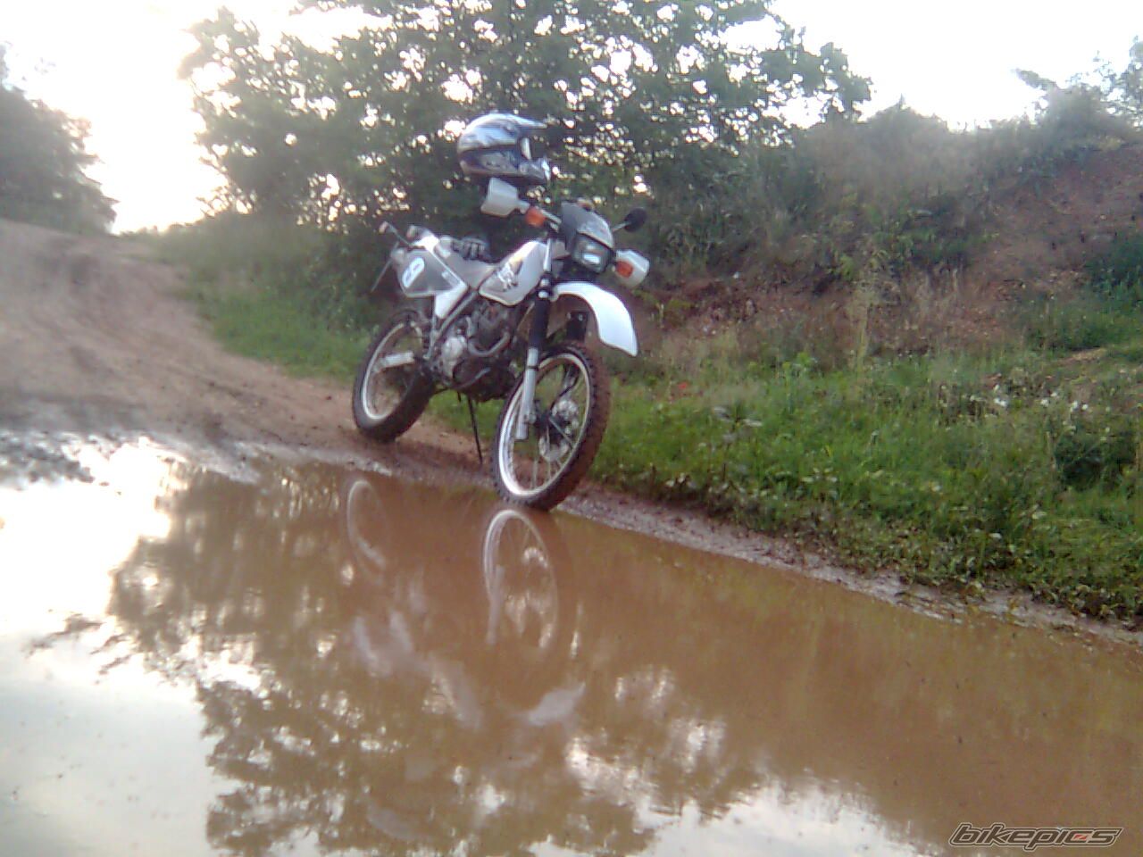 Bike Photo 1344462