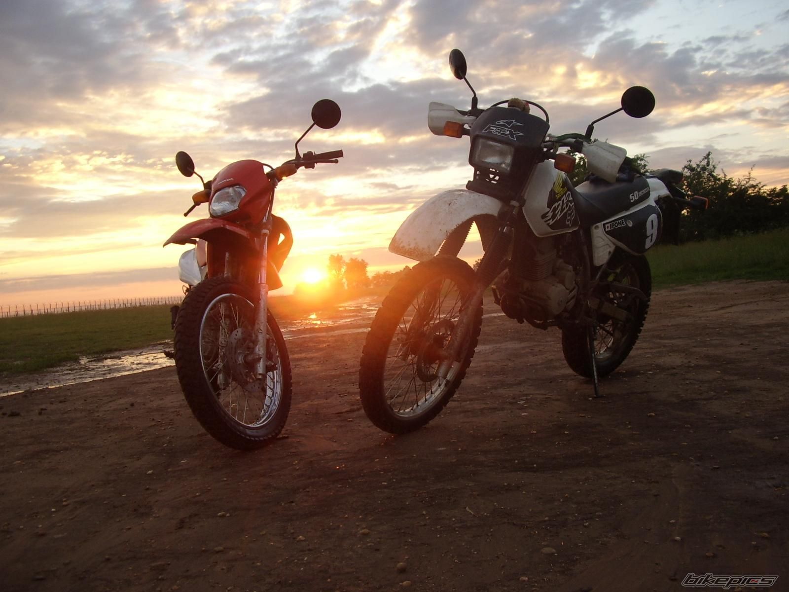 Bike Photo 1344485