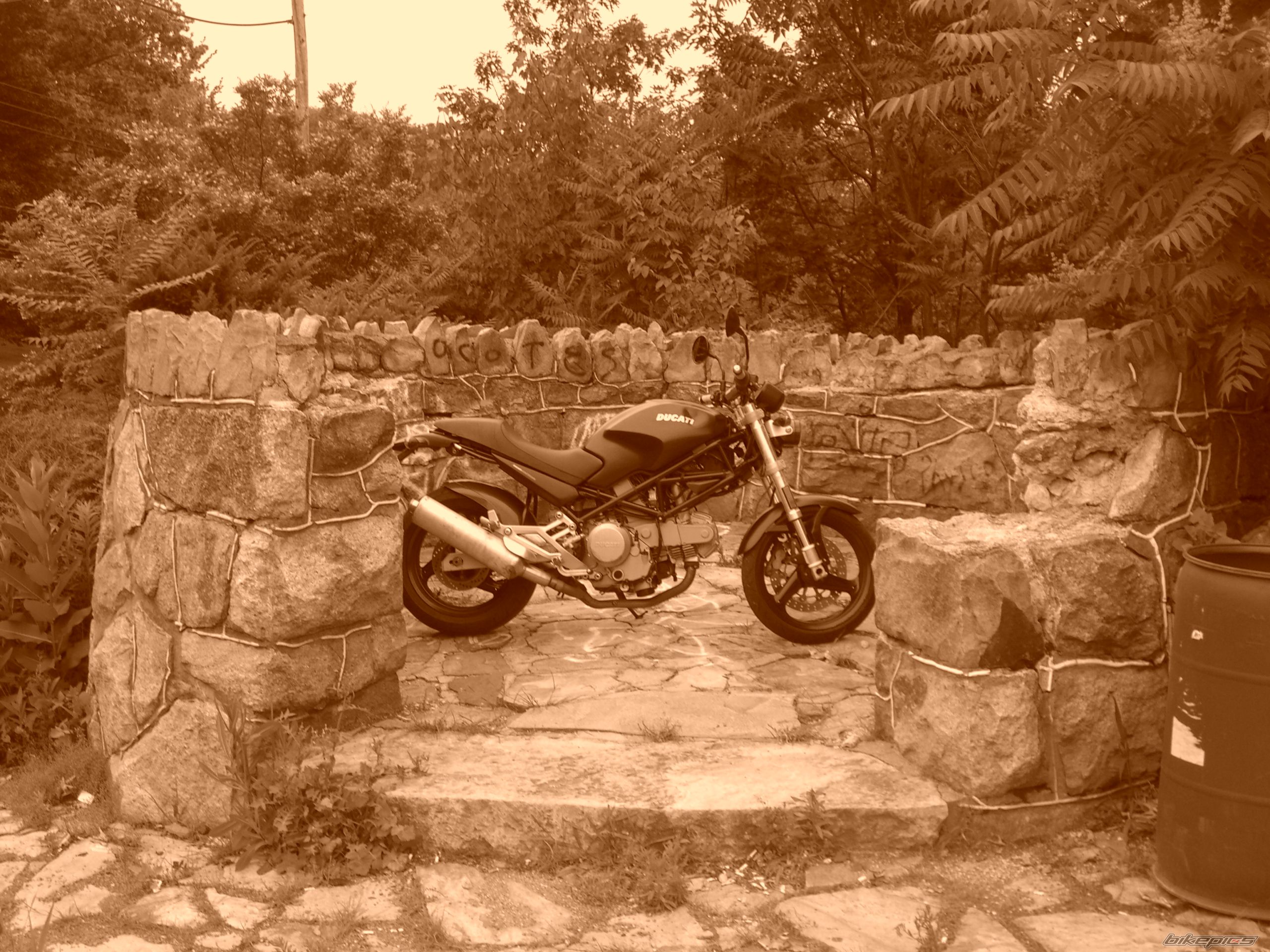 Bike Photo 1344519