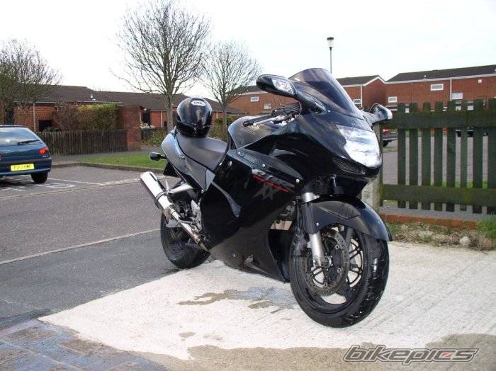 Photo 134461