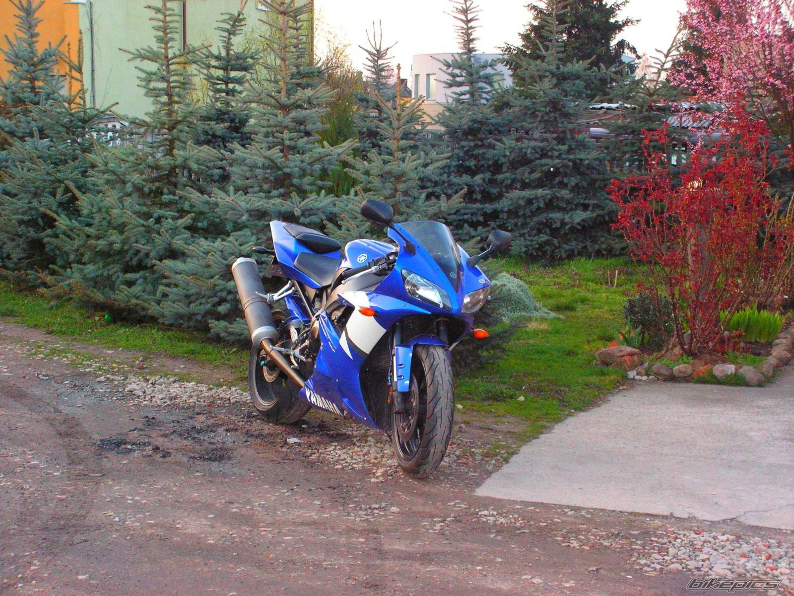 Photo 1344731