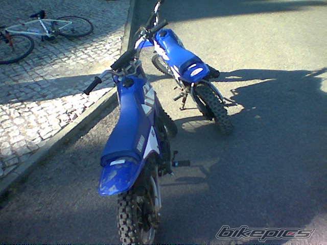 Photo 134485