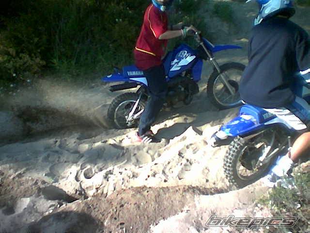 Photo 134488
