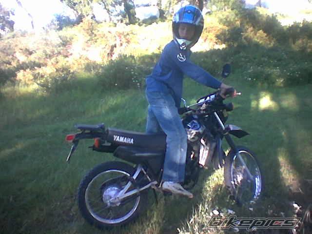 Photo 134493