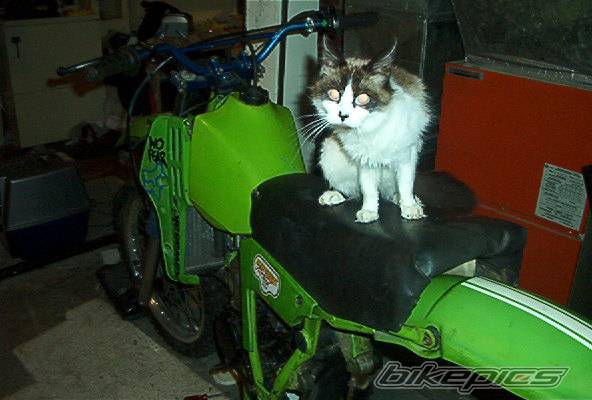 Bike Photo 134499