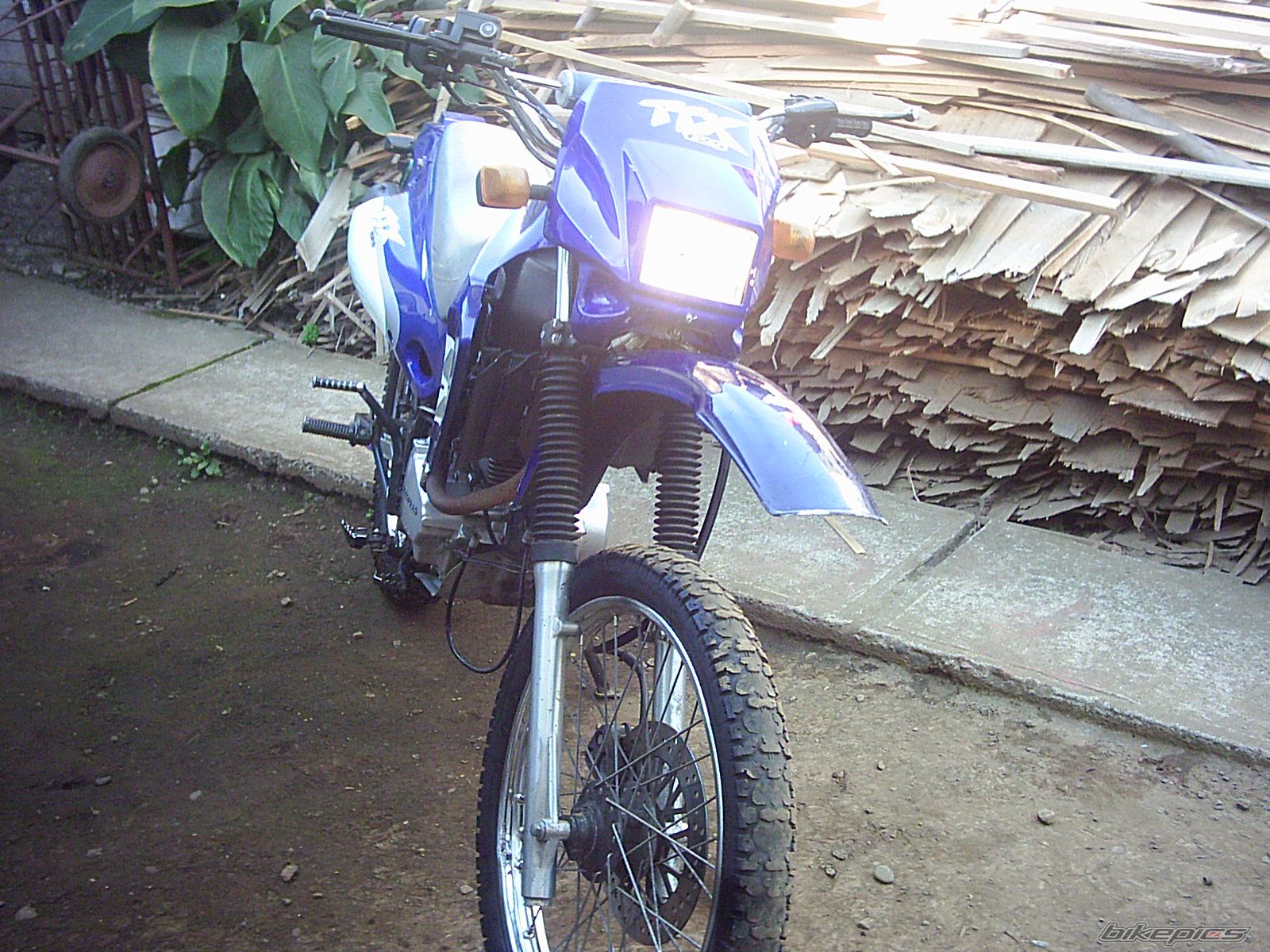 Photo 1345138