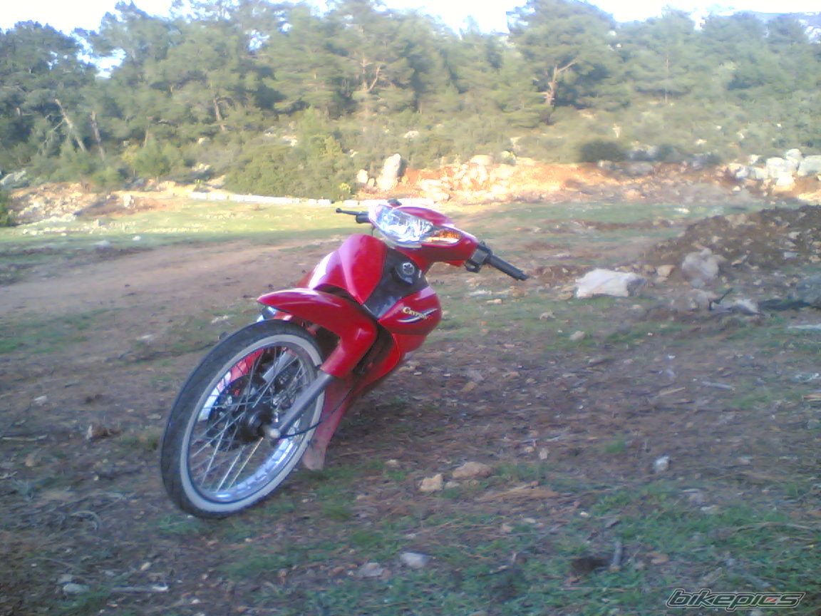 Photo 1345178