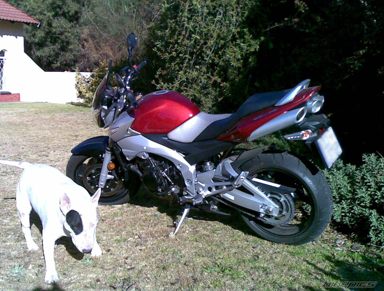 Bike Photo 1345206