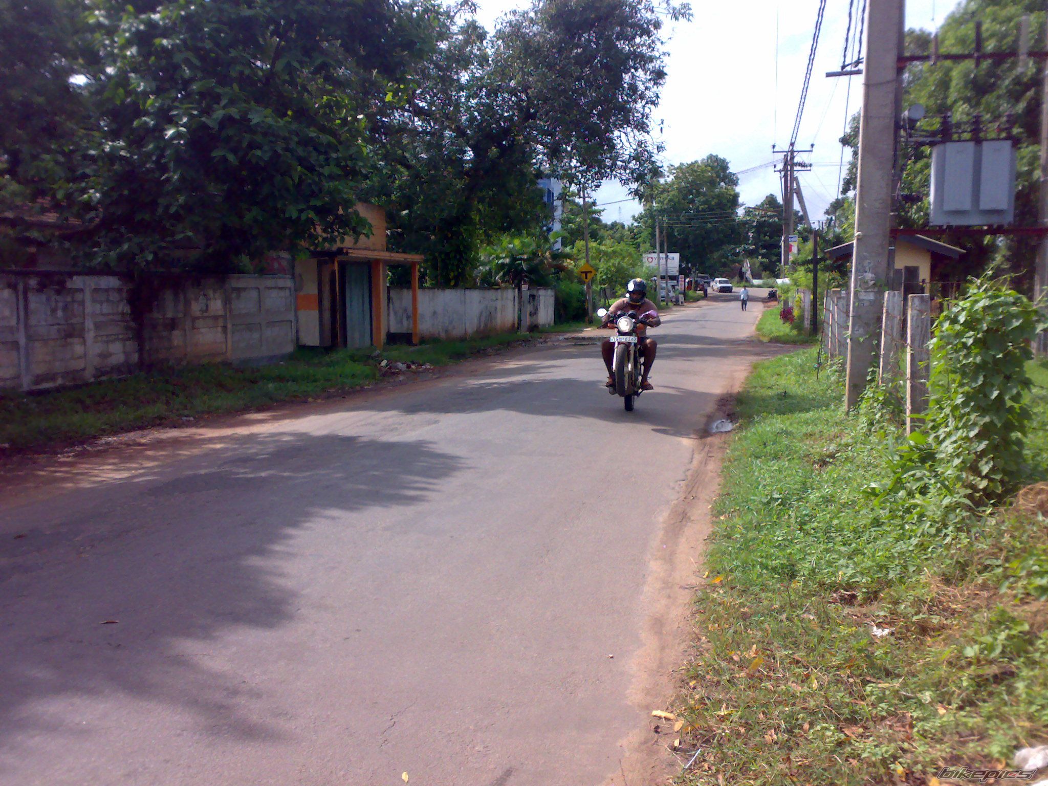 Photo 1345282