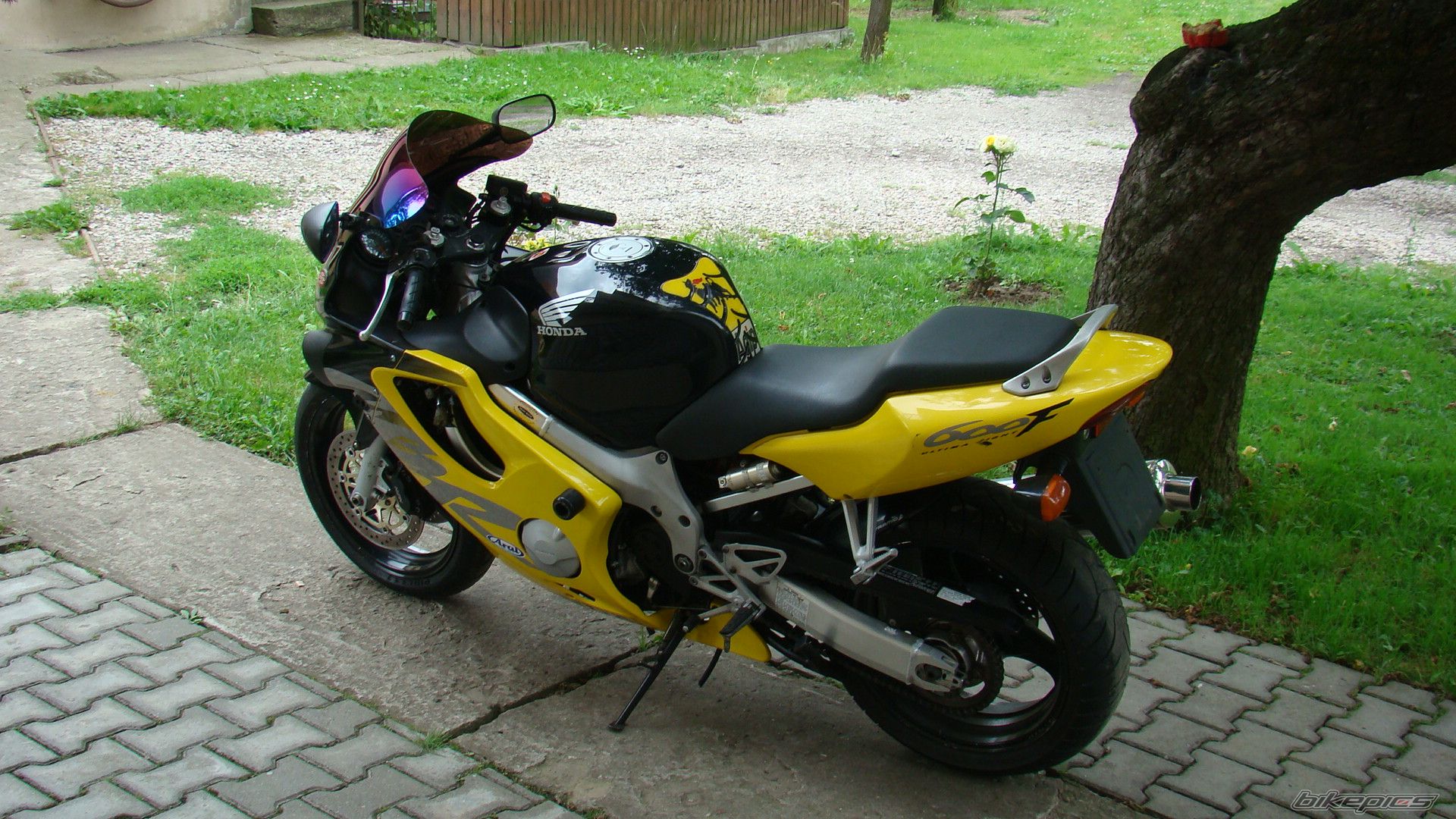 Bike Photo 1345284