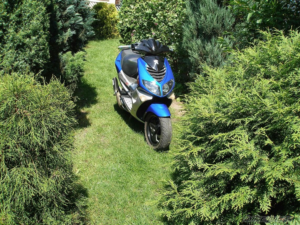 Bike Photo 1345325