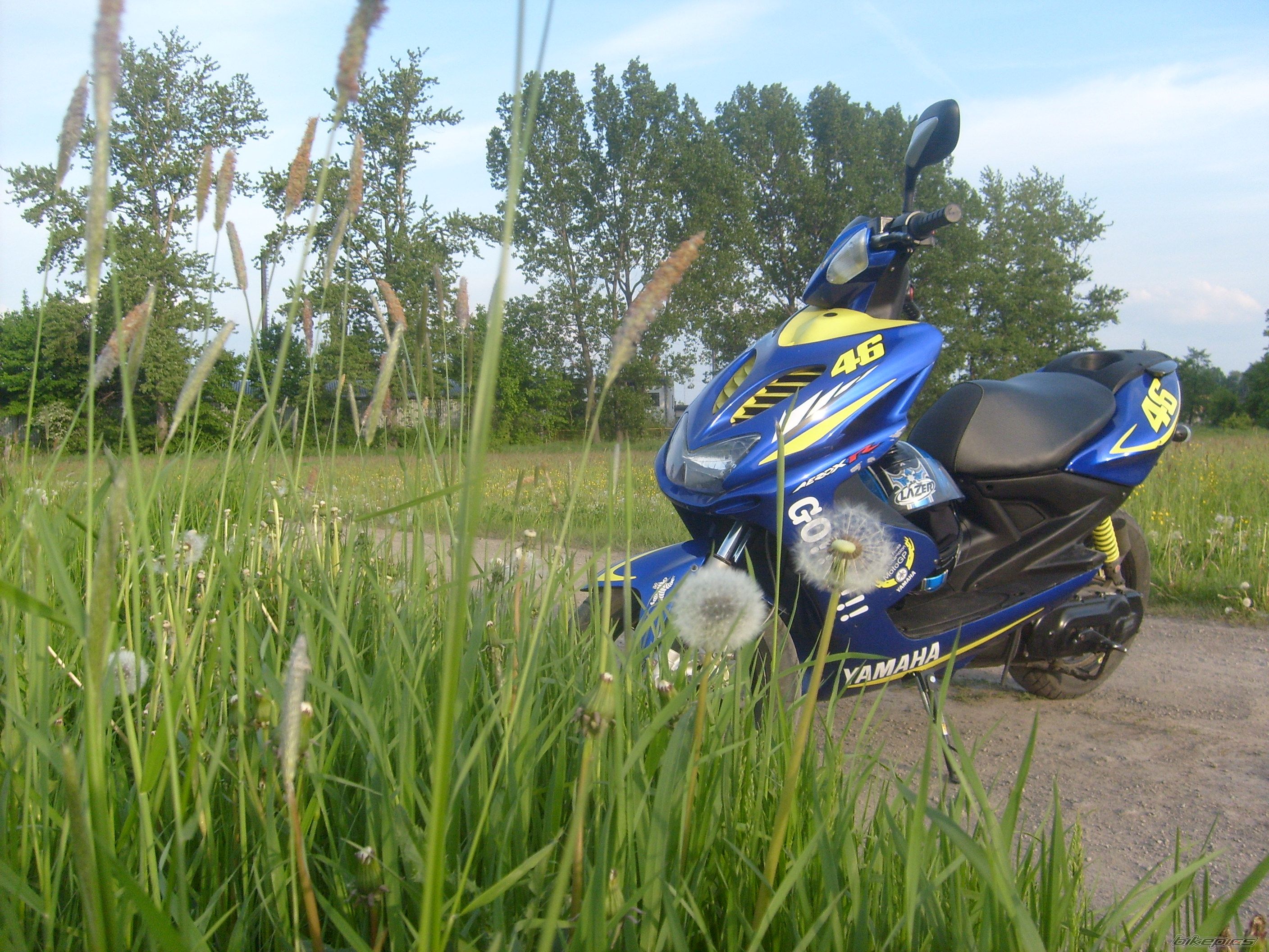 Photo 1345404