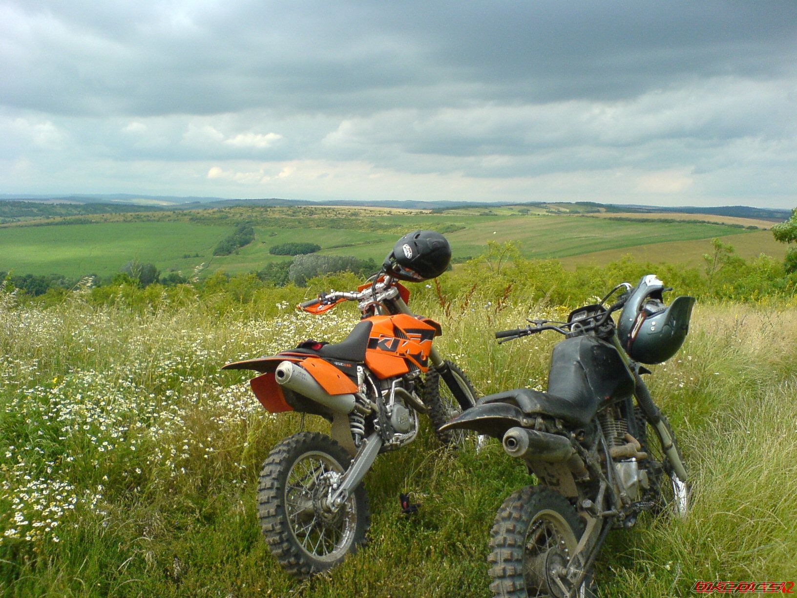 Photo 1345433