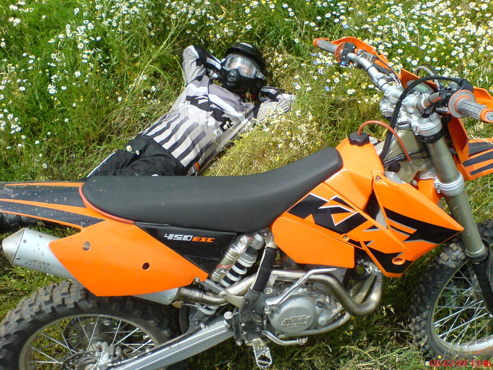 Photo 1345441