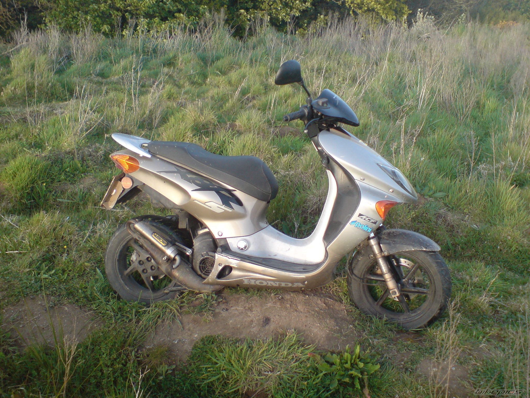 Photo 1345473