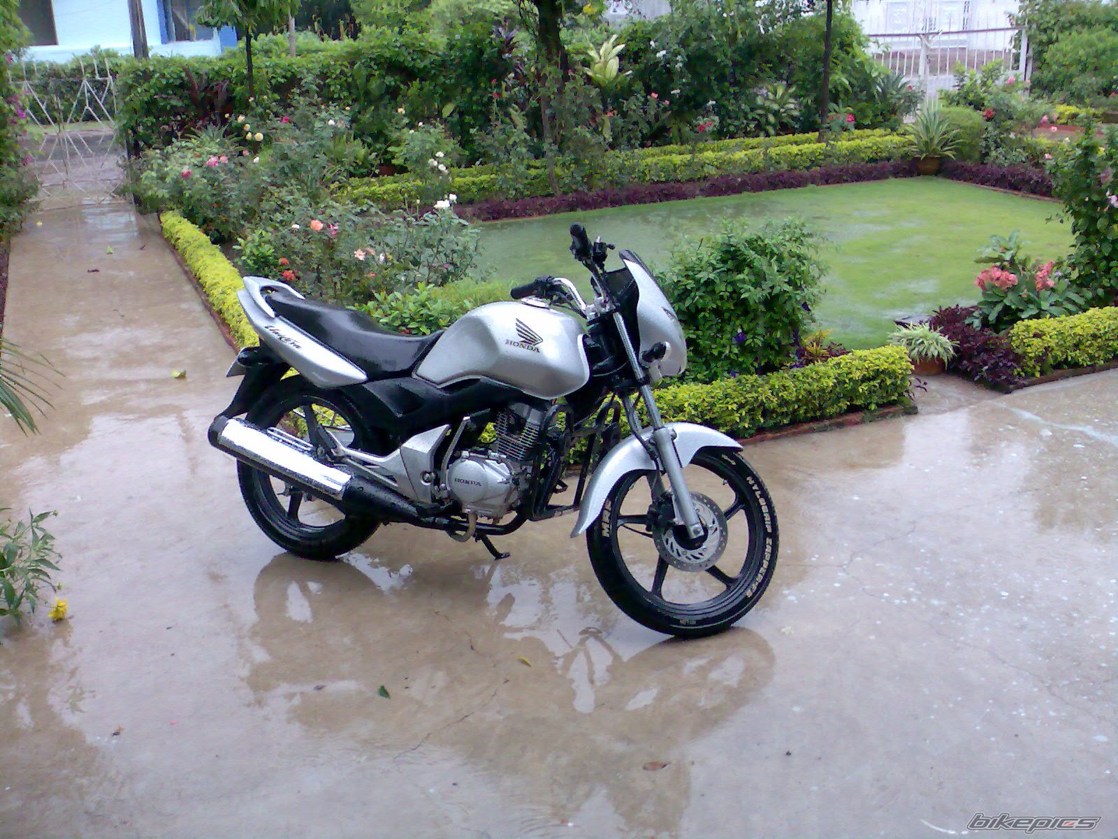 Photo 1345482