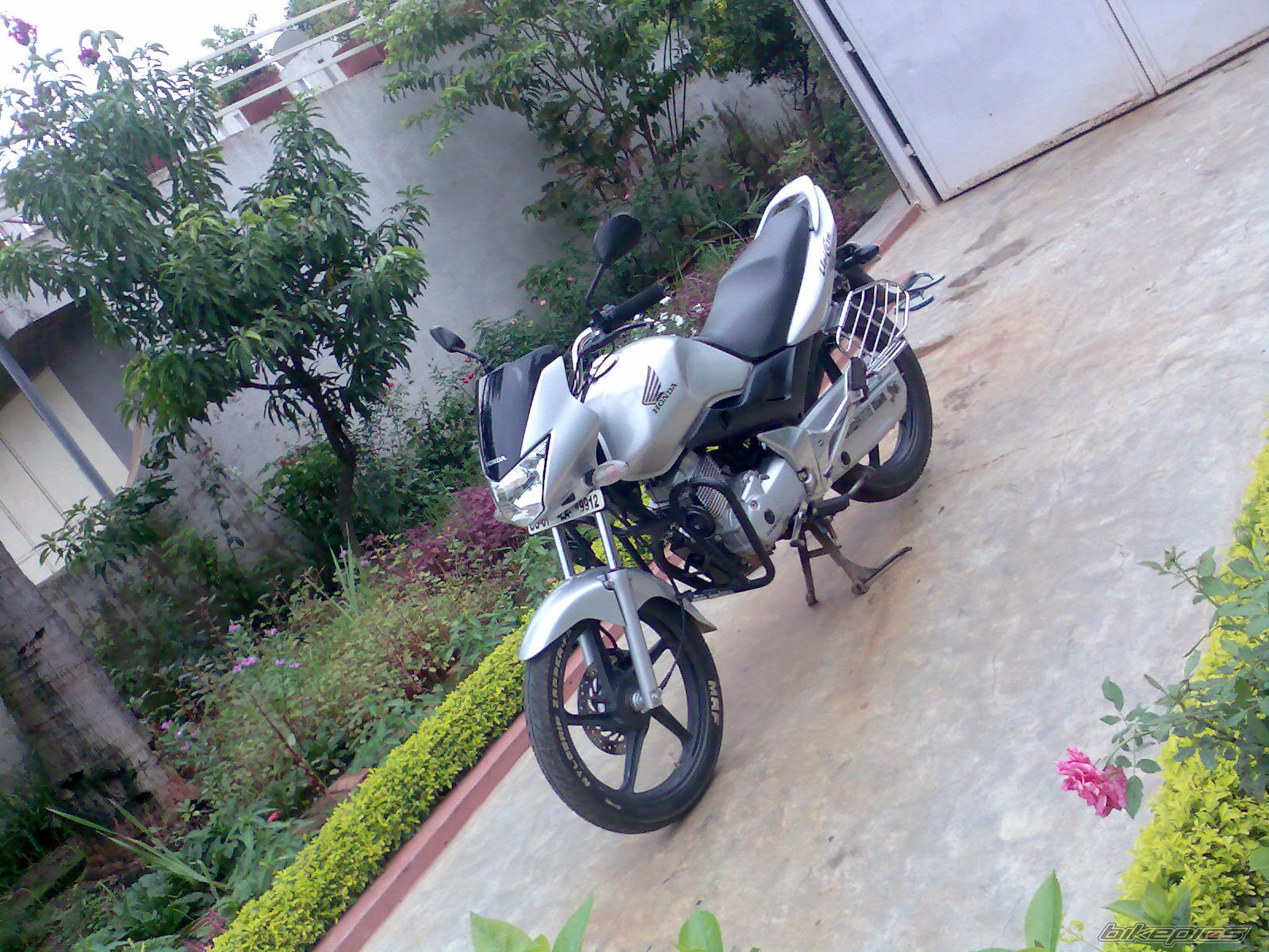 Photo 1345490