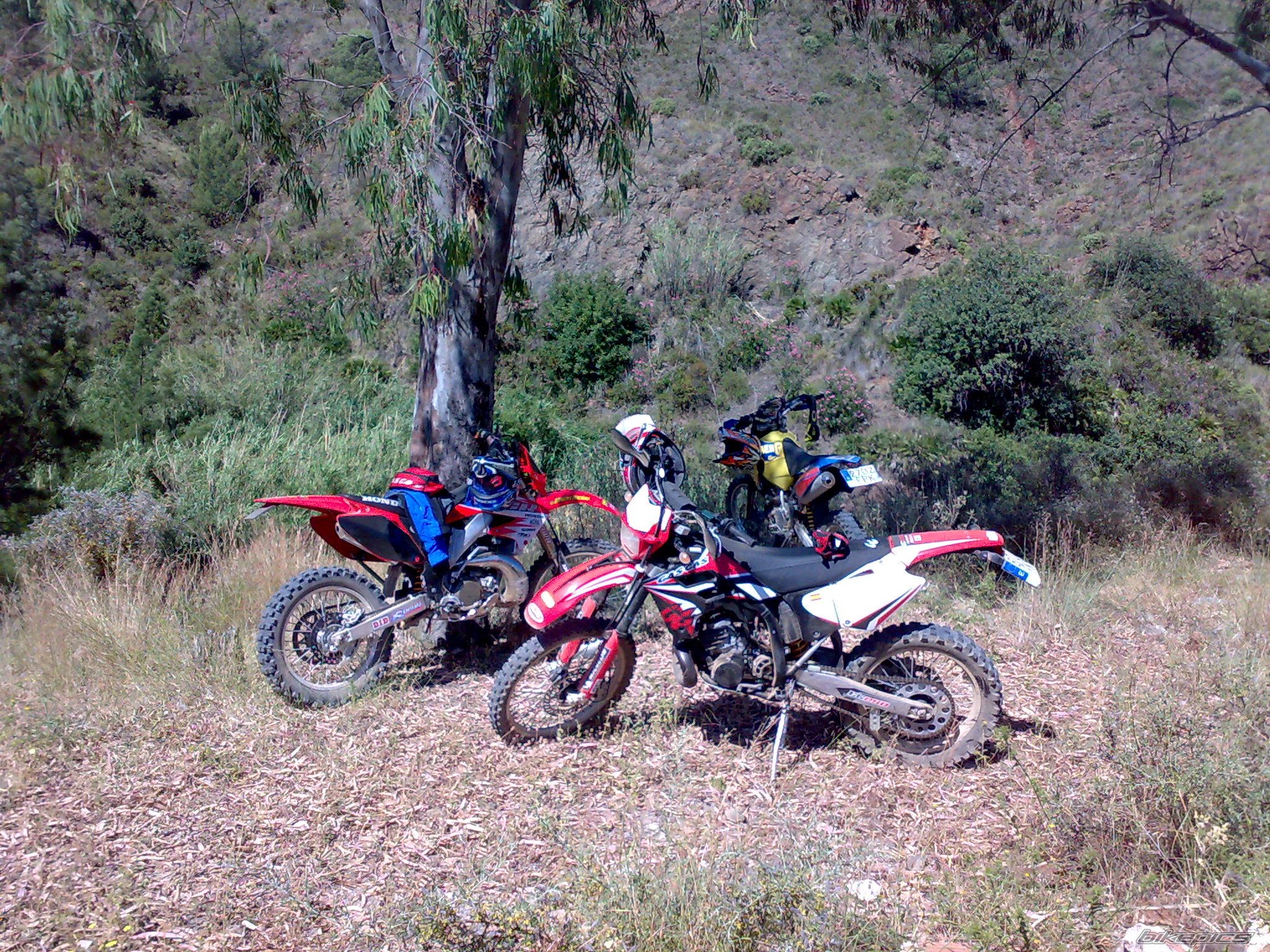 Bike Photo 1345550