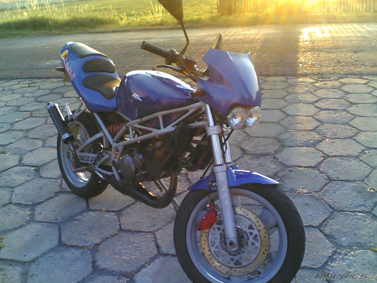 Photo 1345578