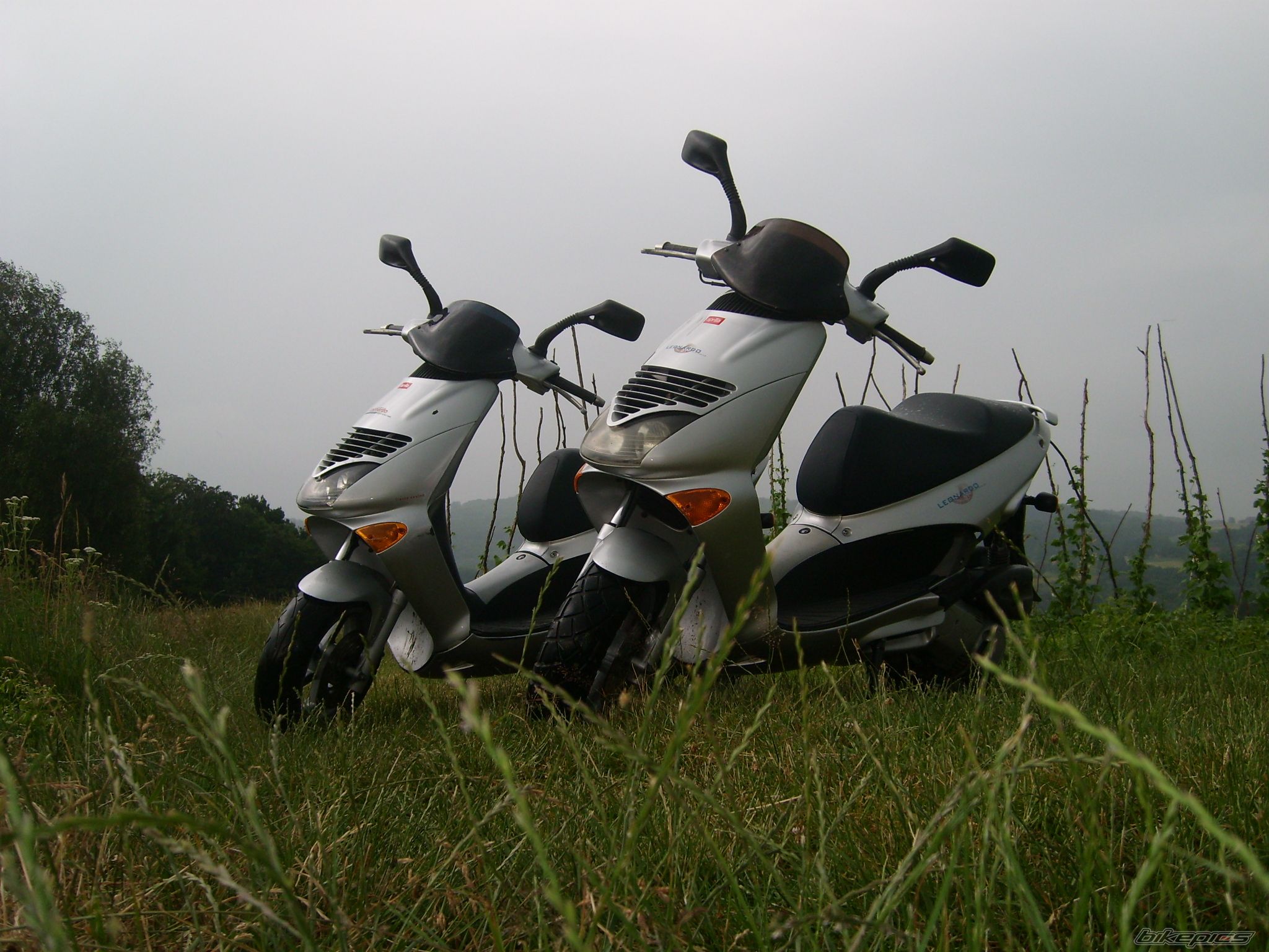 Photo 1345674