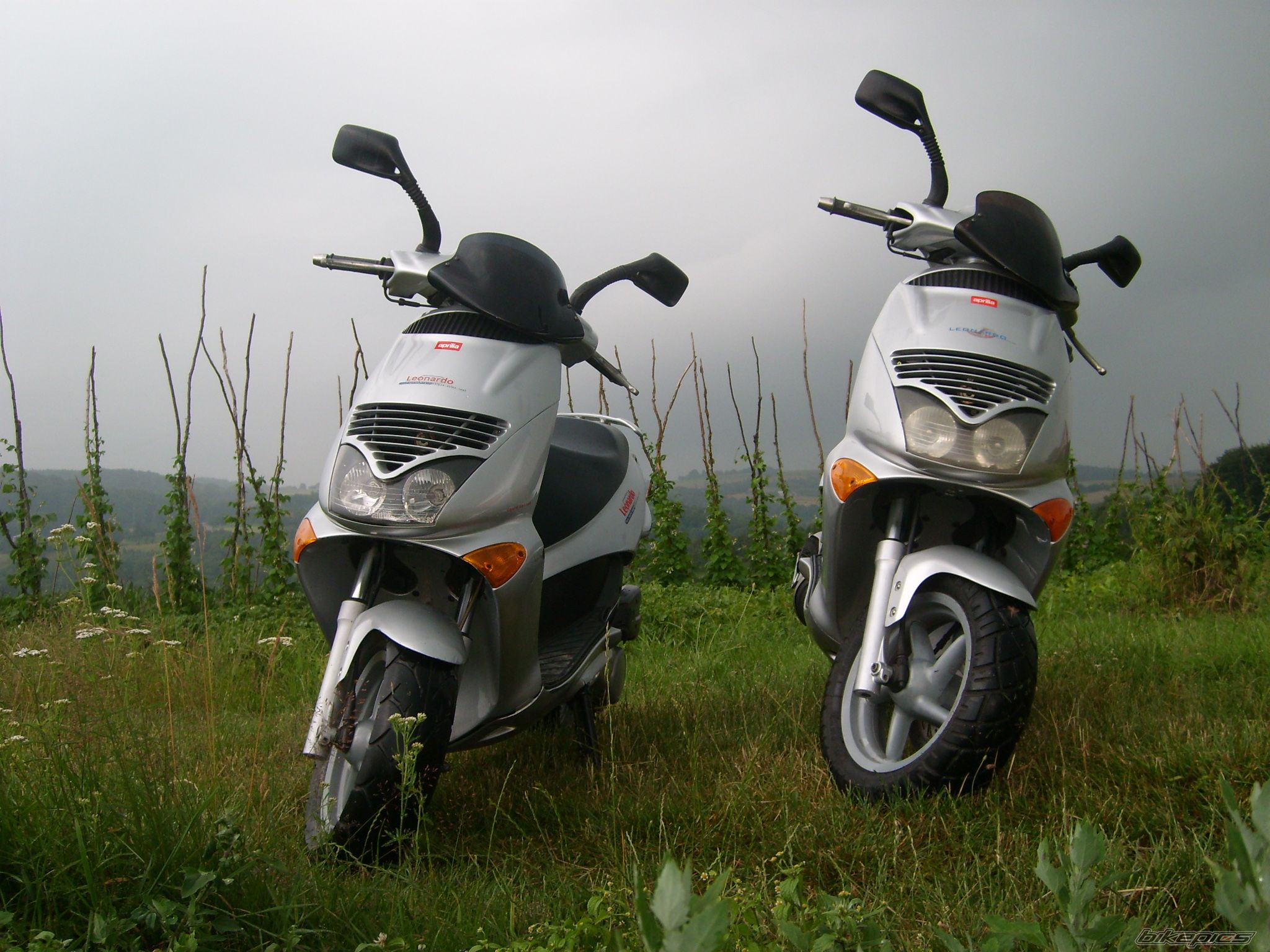 Photo 1345677