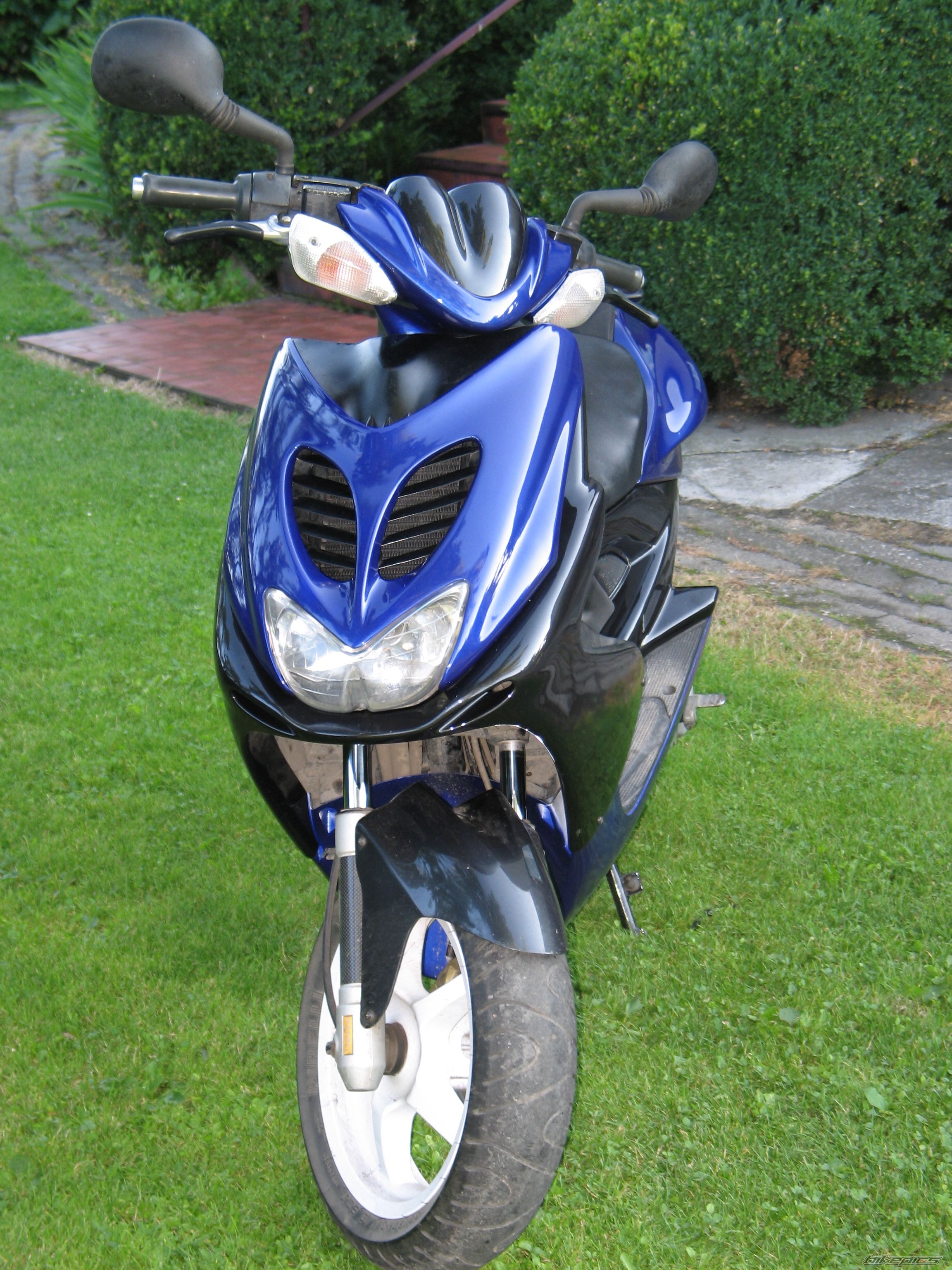 Photo 1345860