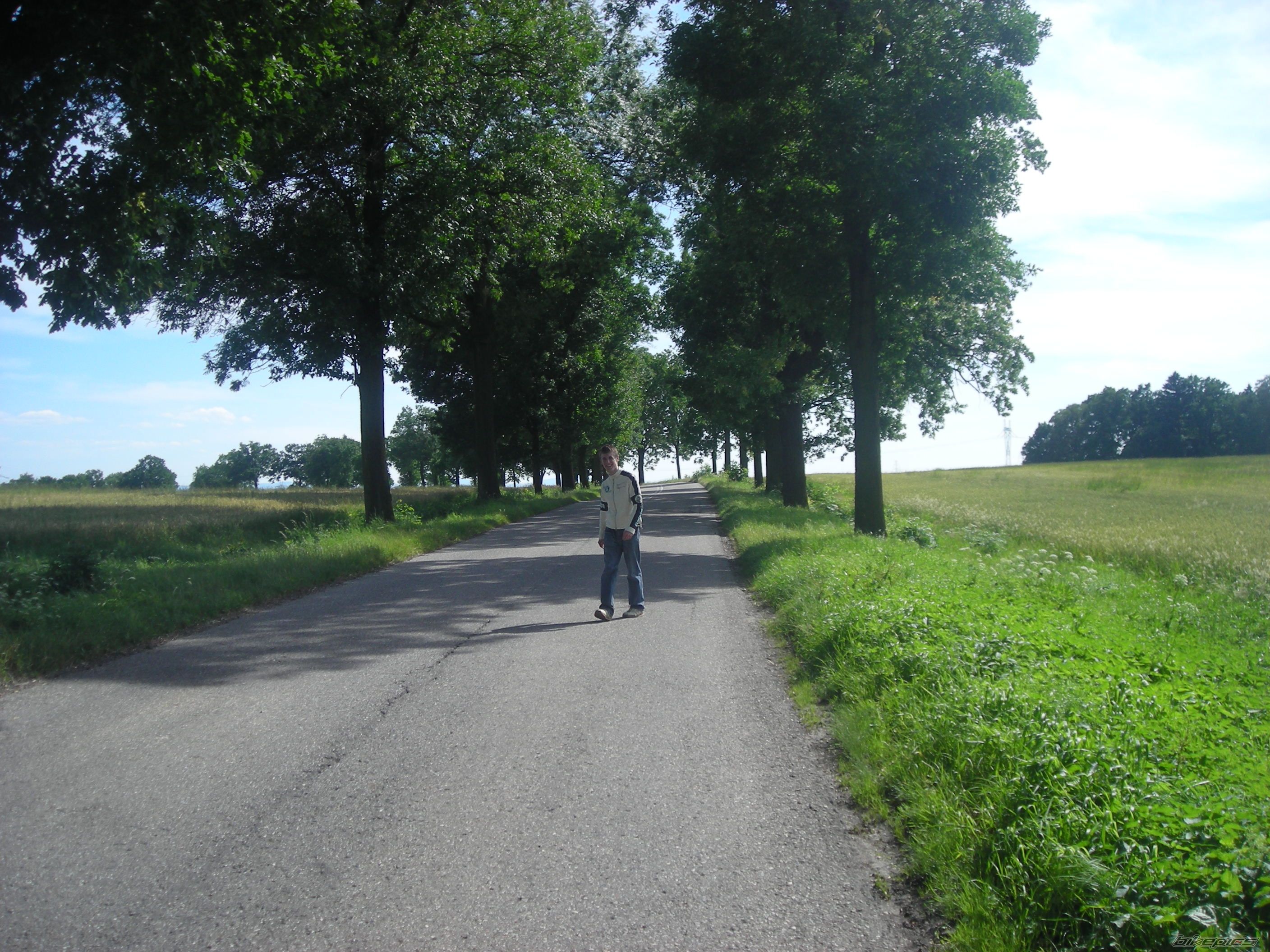 Photo 1345883