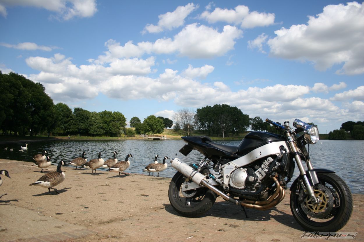 Bike Photo 1345951